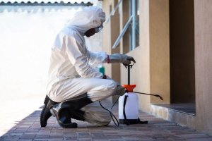 Básico e Introdutório para Agente de Controle às Endemias